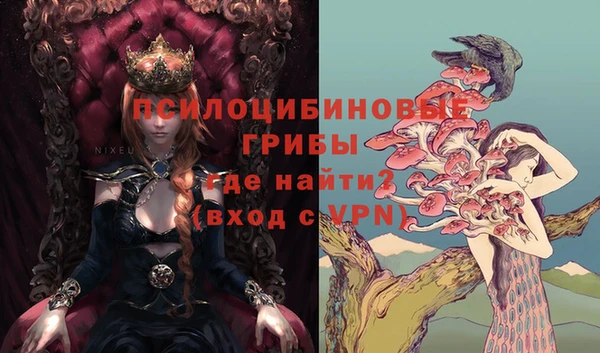 шишки Бронницы