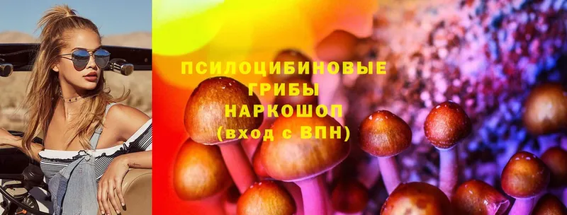 Псилоцибиновые грибы Psilocybe  Белогорск 